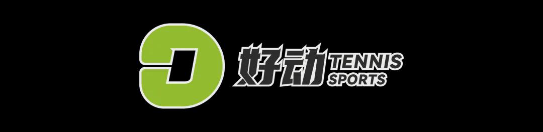 格雷厄姆:爱尔兰抽签最该避葡萄牙